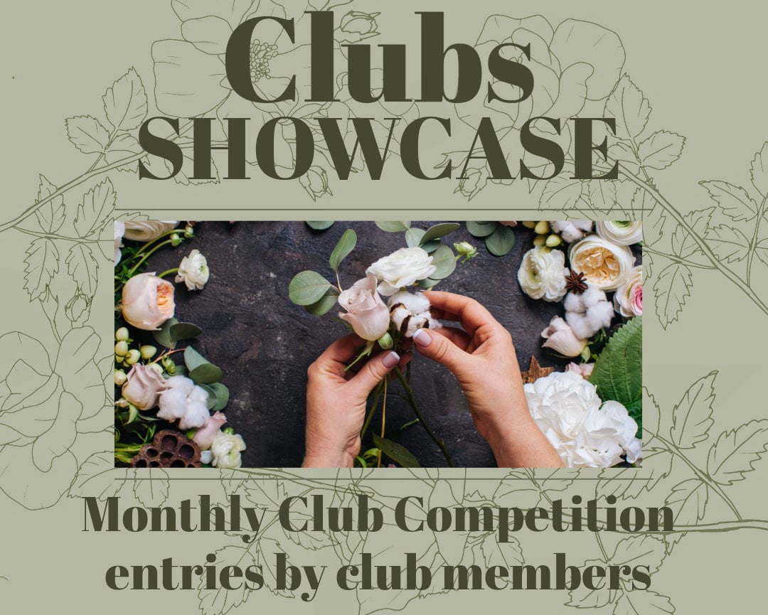 AOIFA Inter Club Elimination Heats