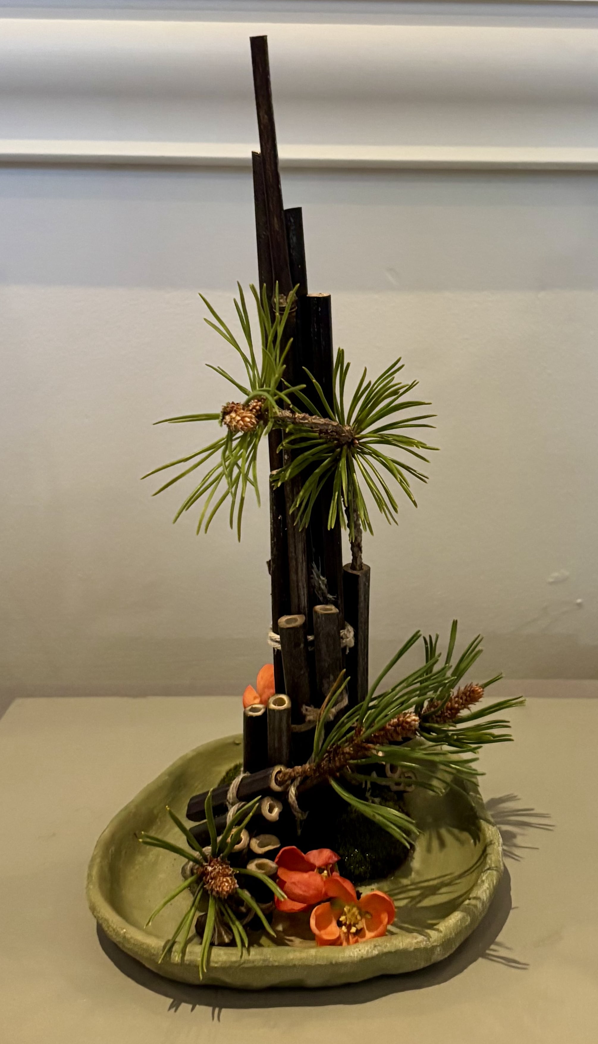 aoifa.com