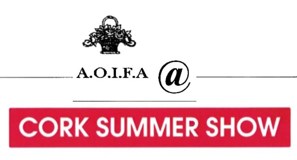 aoifa.com