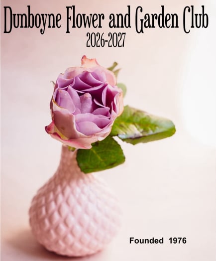 AOIFA.COM
