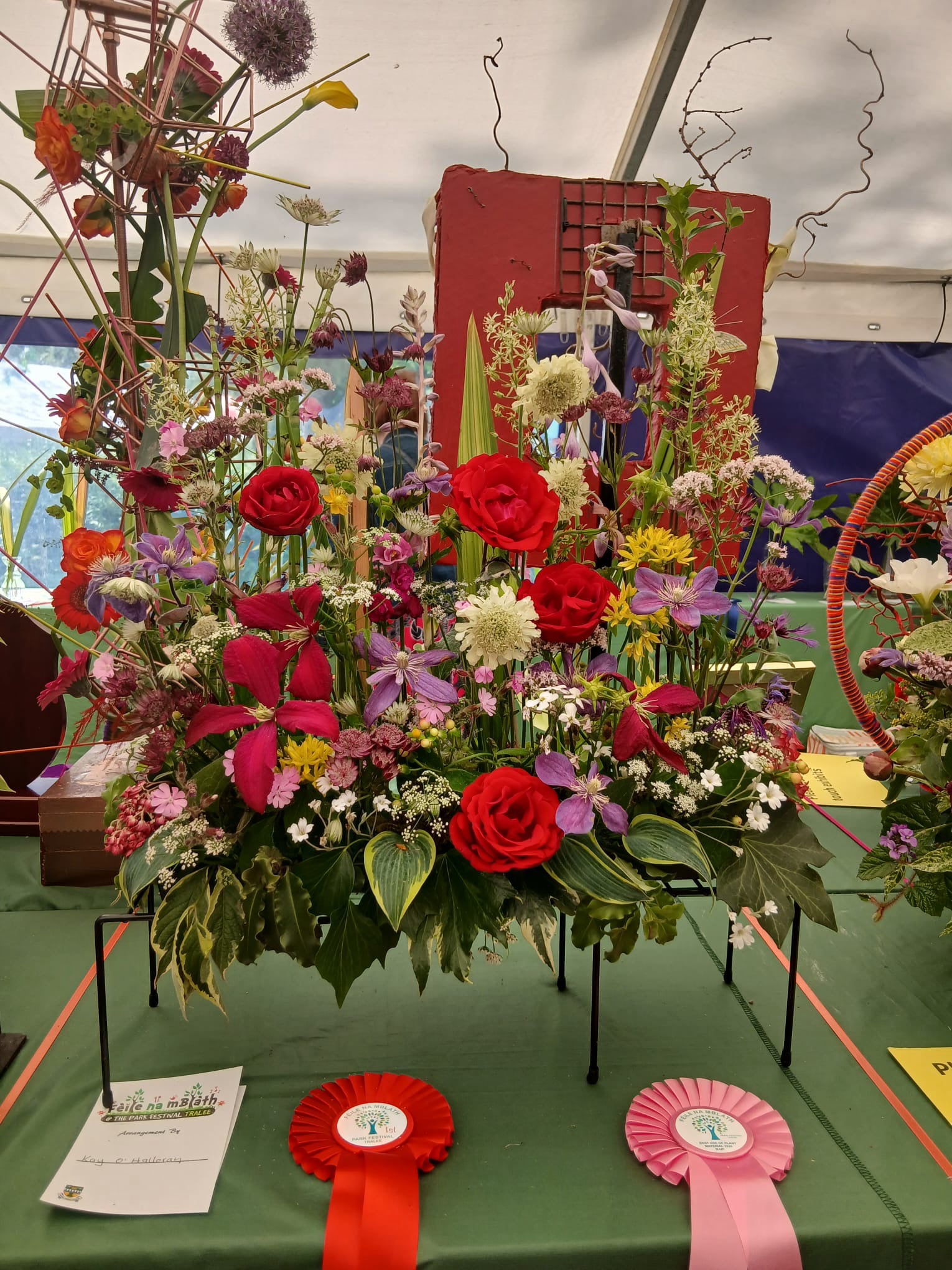 aoifa.com