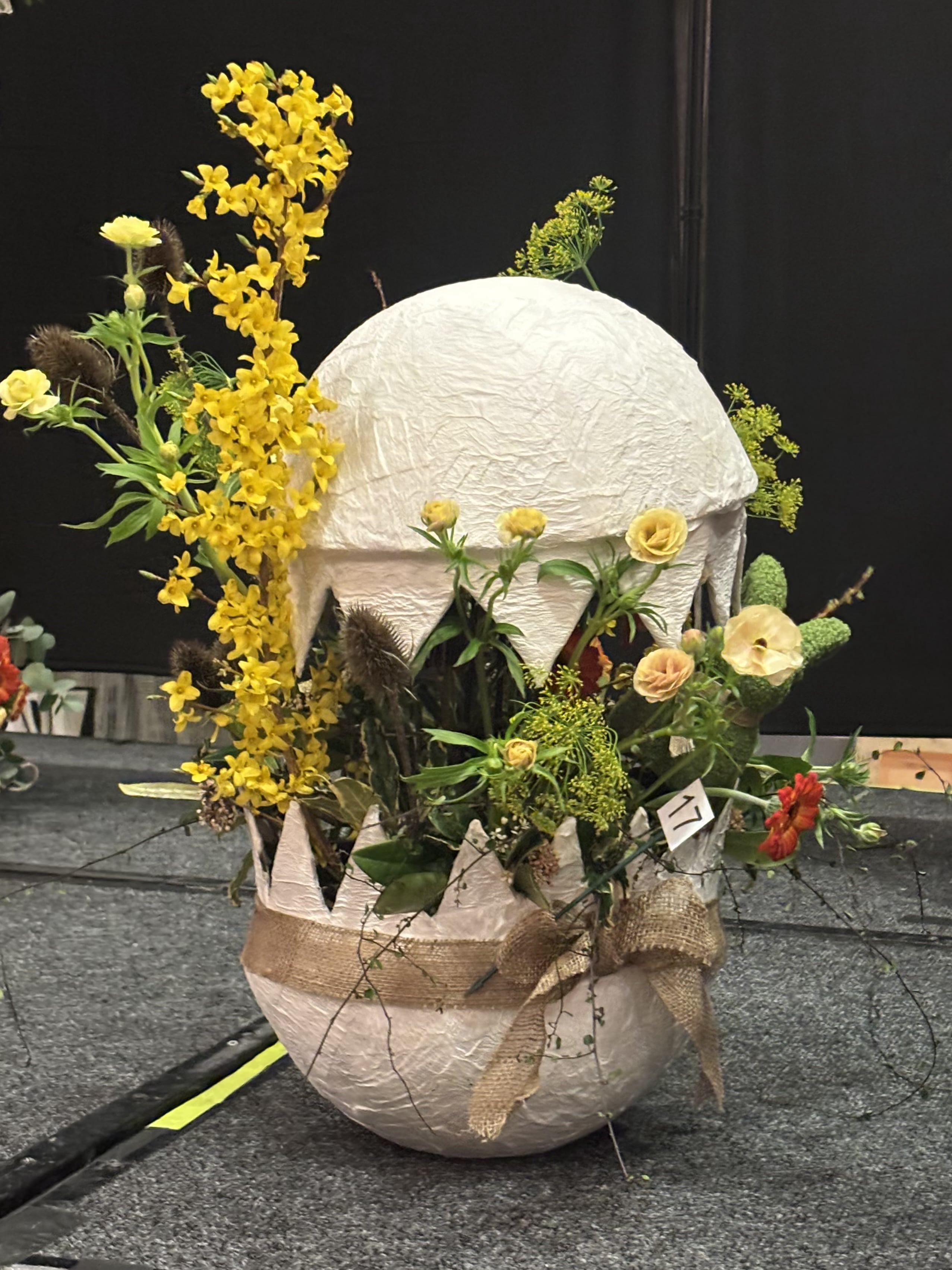 aoifa.com