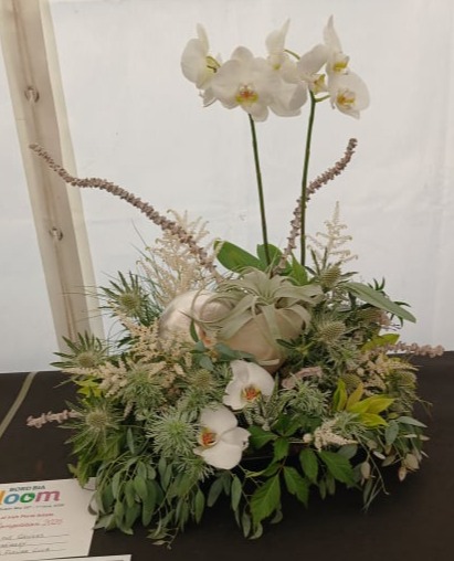 aoifa.com