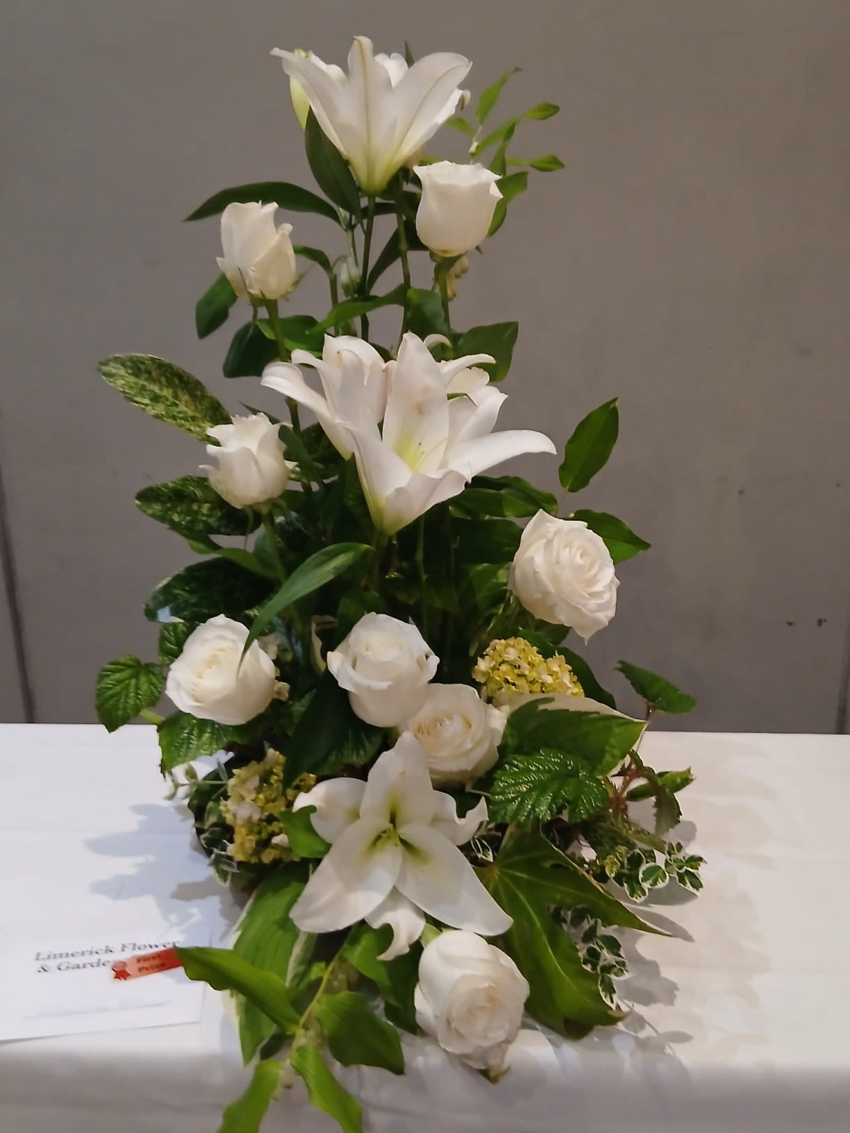 aoifa.com